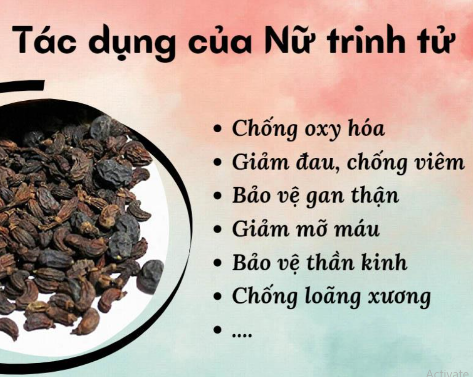 Nữ trinh tử